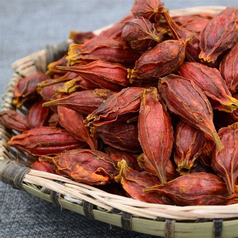 gardenia fruit zhi zi.